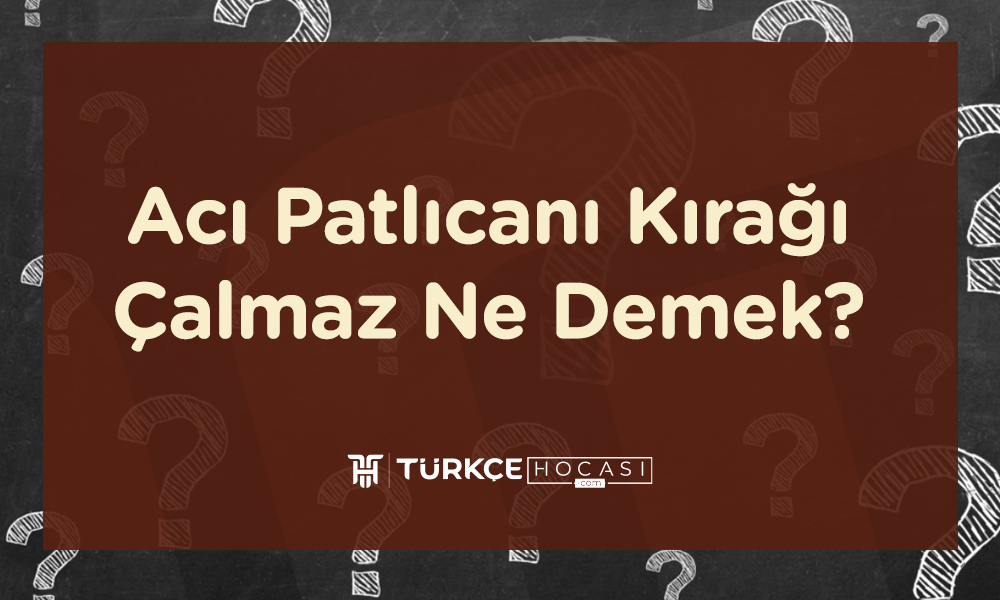 Acı Patlıcanı Kırağı Çalmaz Ne Demek?