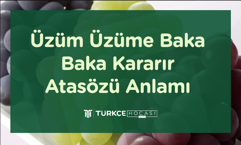 Üzüm Üzüme Baka Baka Kararır Atasözü Anlamı
